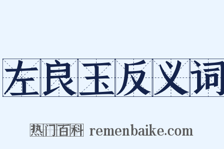 左良玉反义词是什么意思的图片